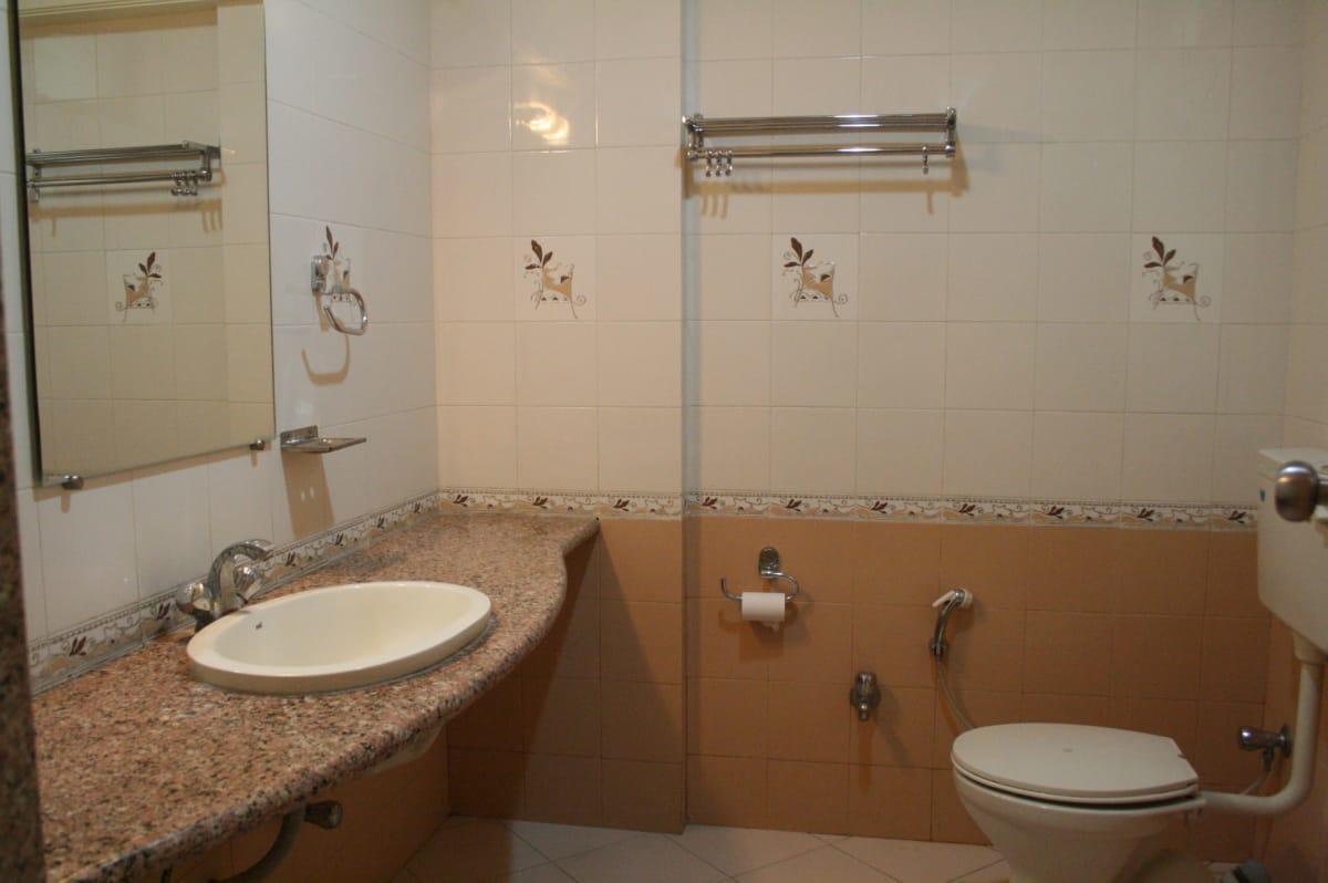 Hotel Sai International Peth  外观 照片